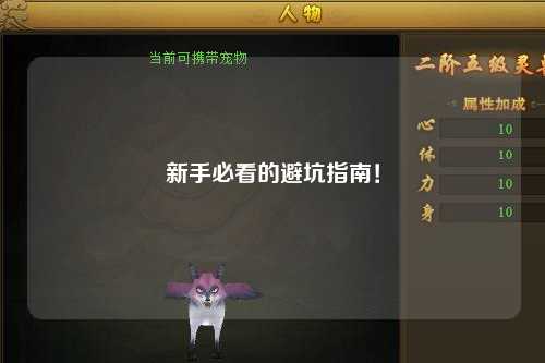 新手必看的避坑指南！