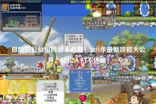 冒险岛公益服网新手必看！2024年最新攻略大公开，轻松入门不迷路！