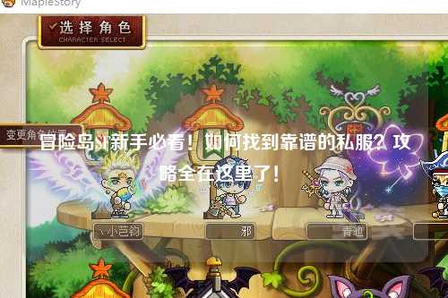 冒险岛SF新手必看！如何找到靠谱的私服？攻略全在这里了！✨