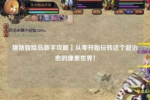 猪猪冒险岛新手攻略｜从零开始玩转这个超治愈的像素世界！