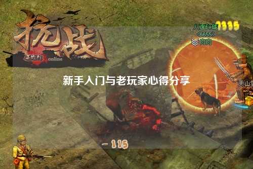 新手入门与老玩家心得分享