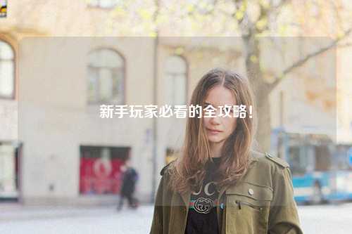 新手玩家必看的全攻略!