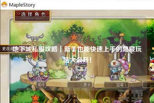 地下城私服攻略|新手也能快速上手的隐藏玩法大公开!