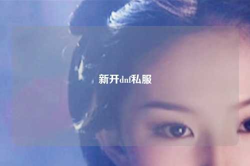 新开dnf私服