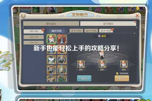 新手也能轻松上手的攻略分享！