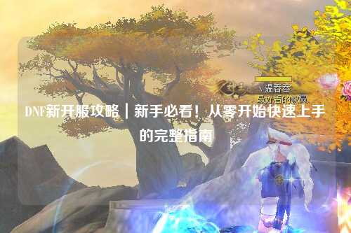 DNF新开服攻略｜新手必看！从零开始快速上手的完整指南✨