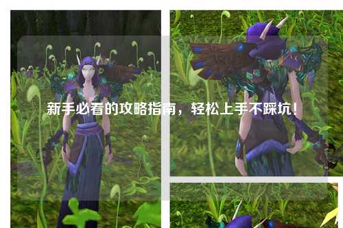 新手必看的攻略指南，轻松上手不踩坑！