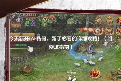 今天新开DNF私服，新手必看的详细攻略！（附避坑指南）